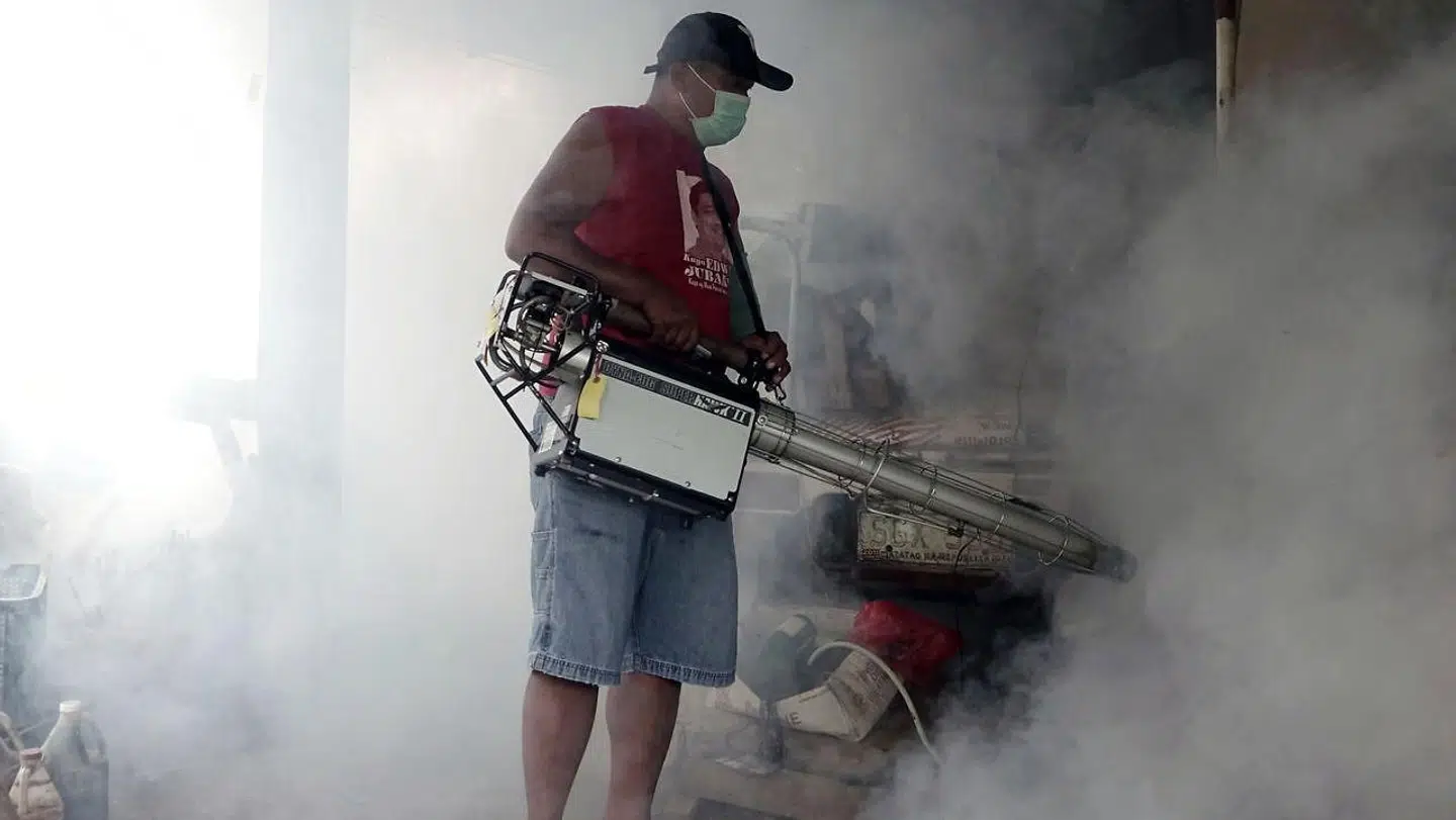 Man forsøger at udrydde myg på øen Samal.