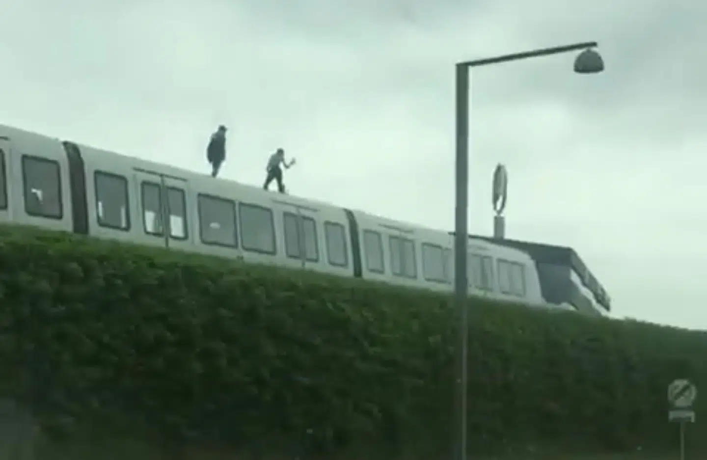 Billederne er taget langs metrostrækningen ved Ørestad Boulevard. Foto: Mathias Øgendal