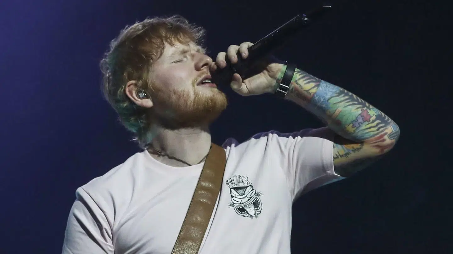 Selvom Ed Sheeran lever af at stå på en scene, bryder han sig ikke om store grupper mennesker.