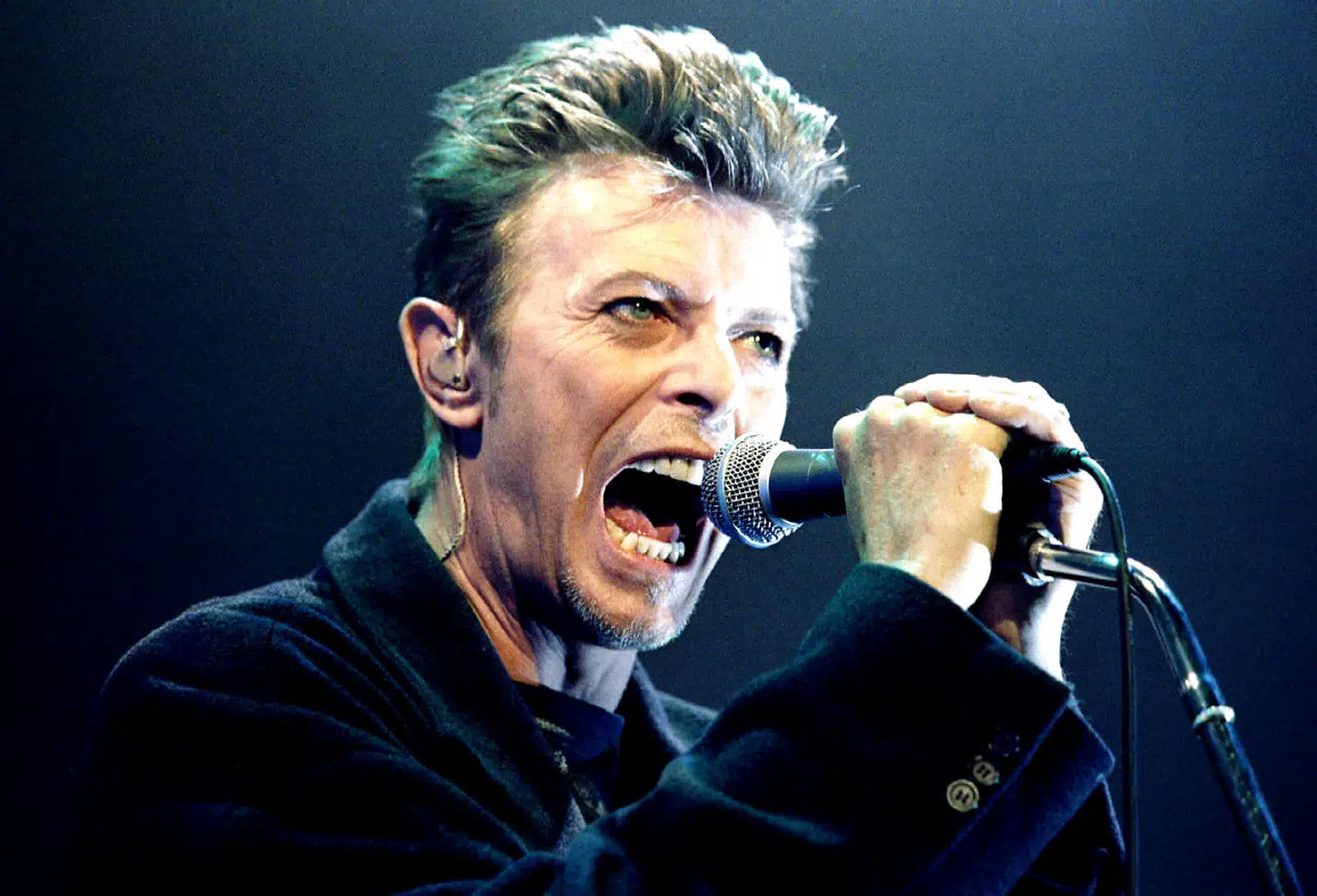 David Bowie optræder som sig selv.