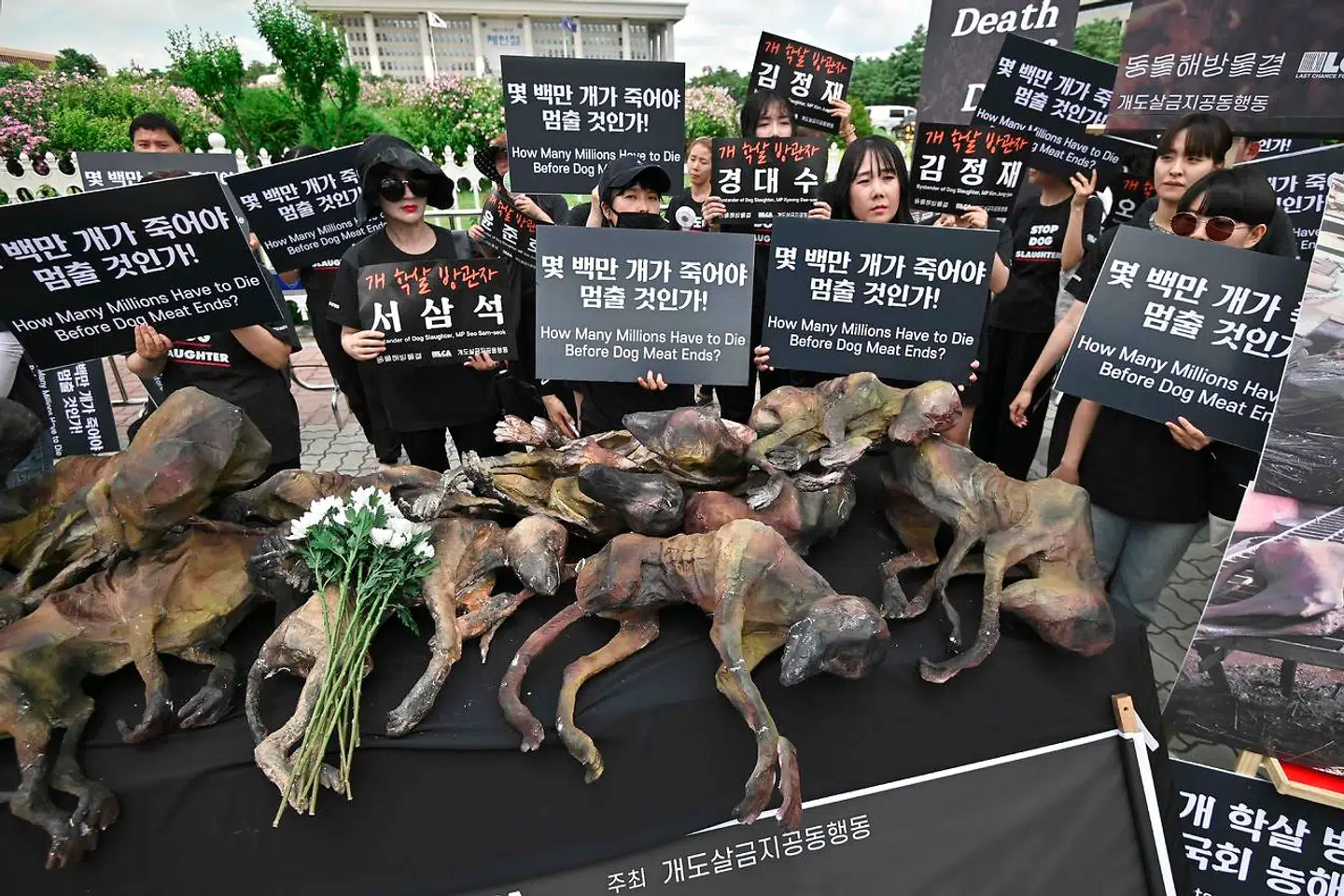 Her demonstrerer de sydkoreanske modstandere af hundekød med 'dukker', der ligner slagtede hunde, foran parlamentet i Seoul.