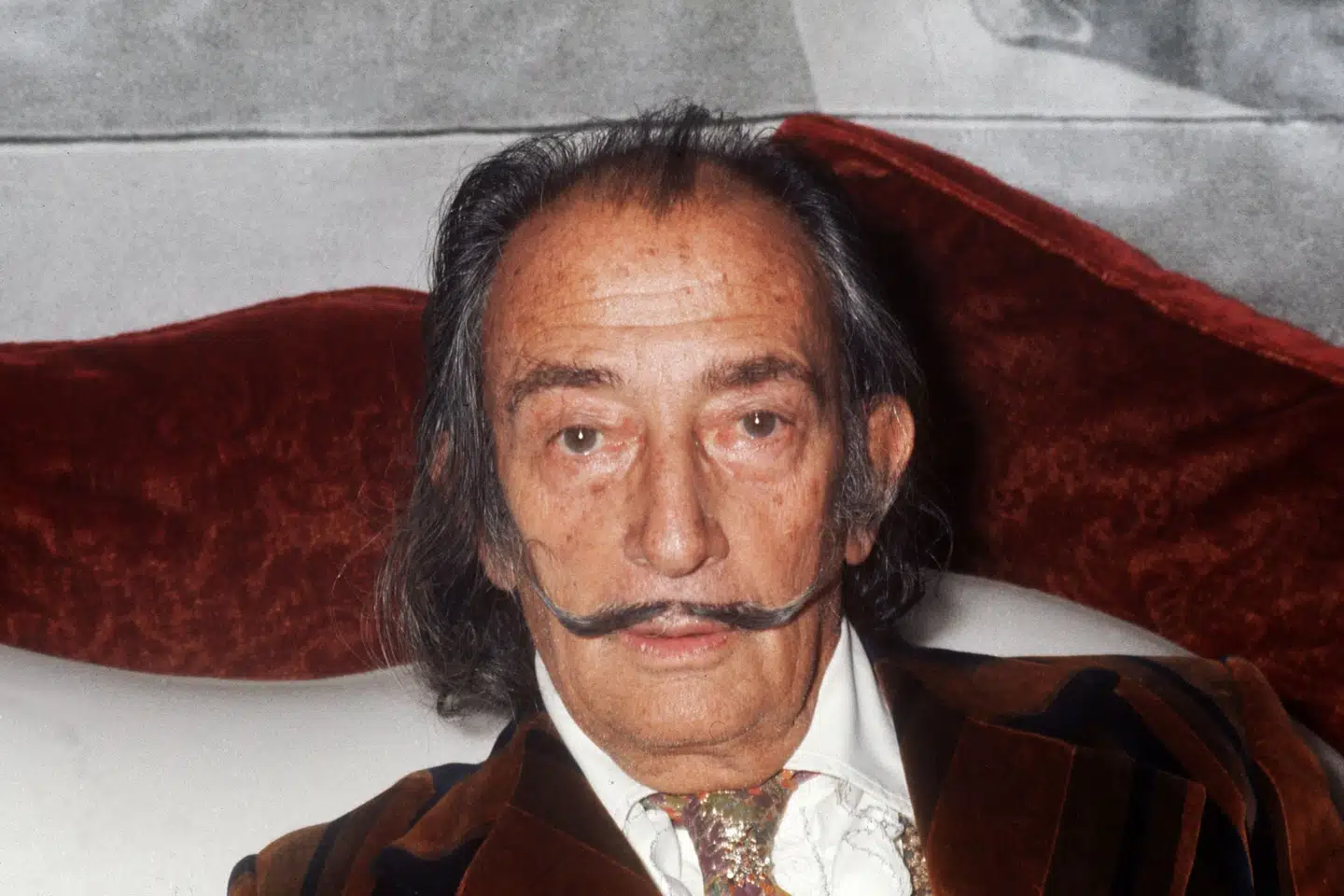 Det tyske bordel Parkschloss Dali er blevet bedt om at skifte navn, fordi det nuværende navn angiveligt krænker den spanske maler Salvador Dalis post mortem-rettigheder. Fotoet af Salvador Dali er taget i 1972. Han døde i 1989. Stf/Ritzau Scanpix