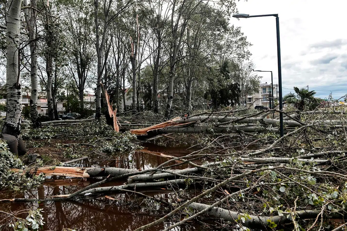 Stormen begyndte onsdag aften og fortsatte natten til torsdag. Seks turister er døde i forbindelse med den kraftige storm. (Photo by Sakis MITROLIDIS / AFP)