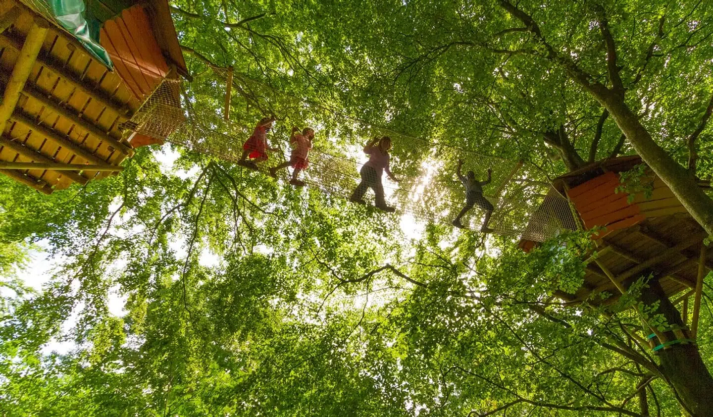 Kun fantasien sætter grænser i WOW Park, der bruger skoven som legeplads.