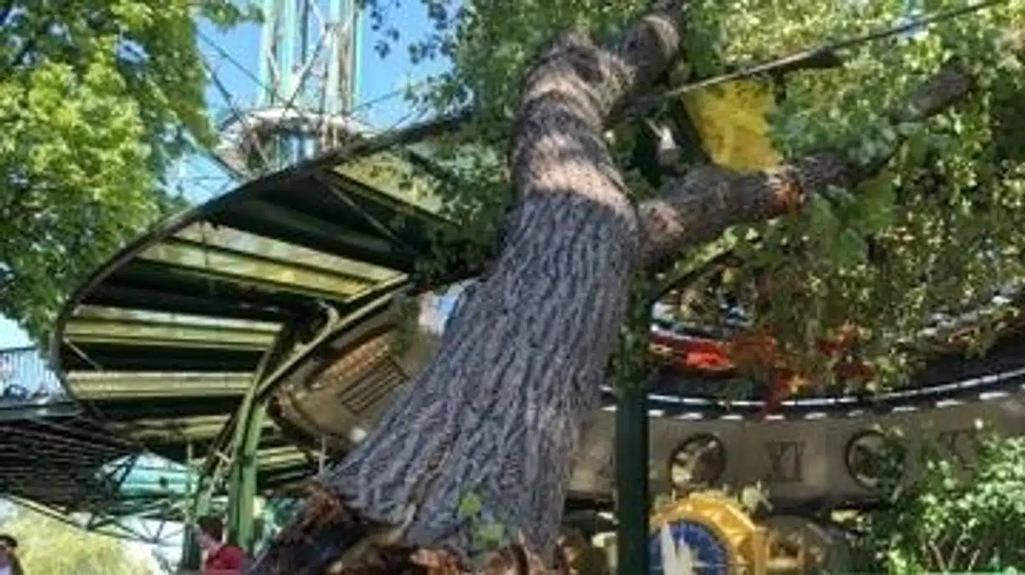 Et træ er væltet ned i Tivolis forlystelse Tik-Tak. Foto: Privat