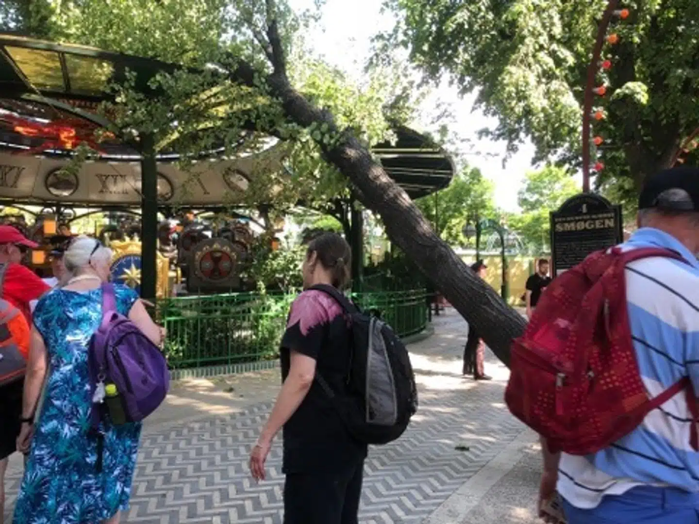 Gæster betragter et træ, der er væltet ned i forlystelsen Tik-Tak i Tivoli. Foto: Privat