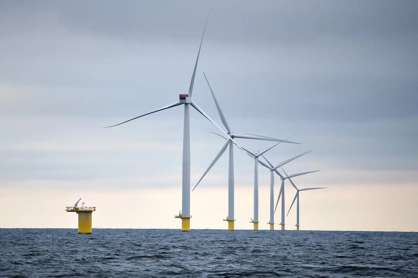 Der skal nu være op mod ti kilometer ind til kysten fra havmølleparkerne - mere end dobbelt så meget som hidtil planlagt. Henning Bagger/Ritzau Scanpix