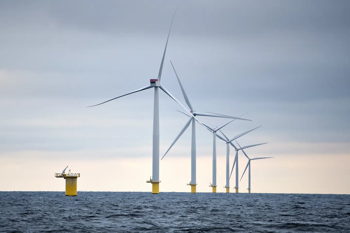 Der skal nu være op mod ti kilometer ind til kysten fra havmølleparkerne - mere end dobbelt så meget som hidtil planlagt. Henning Bagger/Ritzau Scanpix