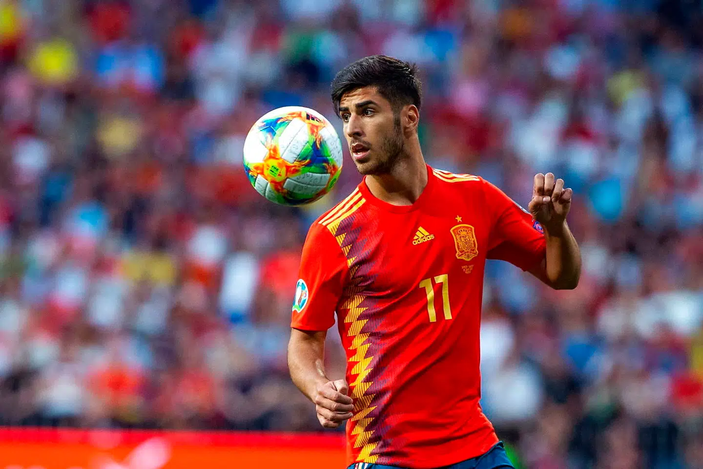 Marco Asencio, billedet, i aktion på det spanske landshold i en EM-kvalifikationskamp 10. juni i år mod Sverige.