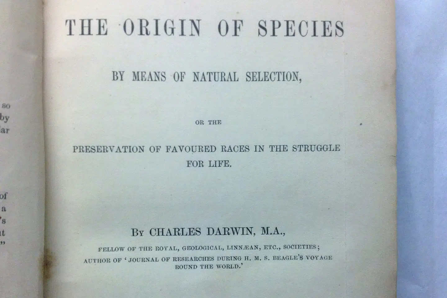 Her er et andet eksemplar af Charles Darwins berømte naturhistoriske bog. Billedet er fra det amerikanske toldvæsen. Den blev stjålet fra Mount Saint Vencent University Library i Nova Scotia i Canada af John Mark Tillman, en dømt antikvitetssmugler. Men de amerikanske myndigheder fandt den og afleverede den til universitetsbiblioteket i Canada i 2015. Handout/Ritzau Scanpix