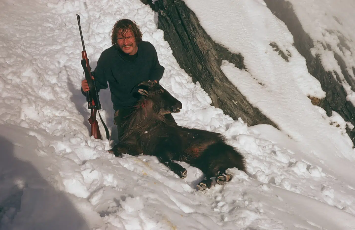 Her ses Freddy Wulff, da han fangede sin første tahr i Copeland Valley, Navigator Range
