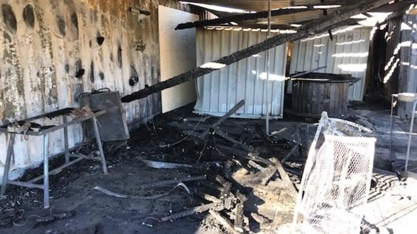 Foto: Jacob Saggaard, Vig Festival