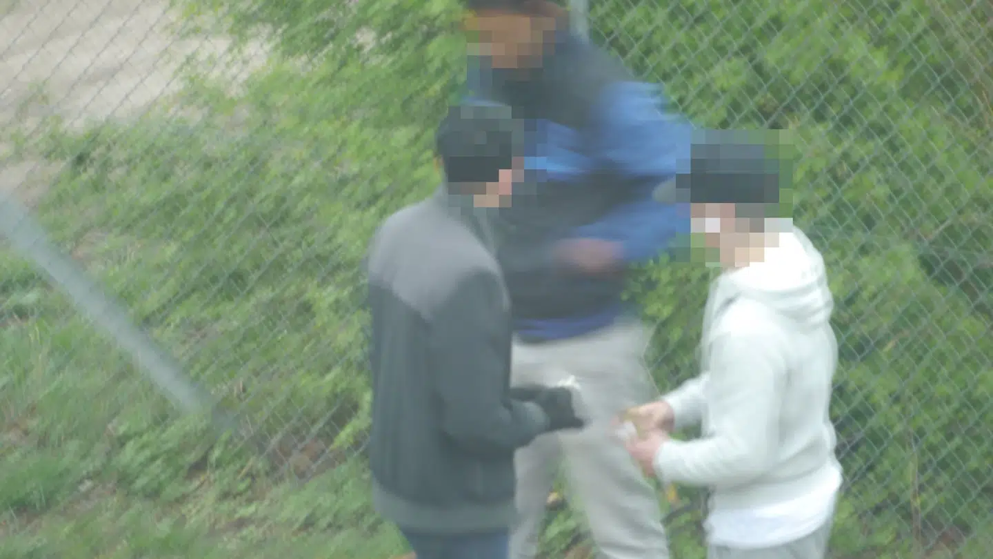 Billeder, som en beboer i Bellahøj Nord har taget ud af sit vindue. Beboeren har også sendt dem til politiet.