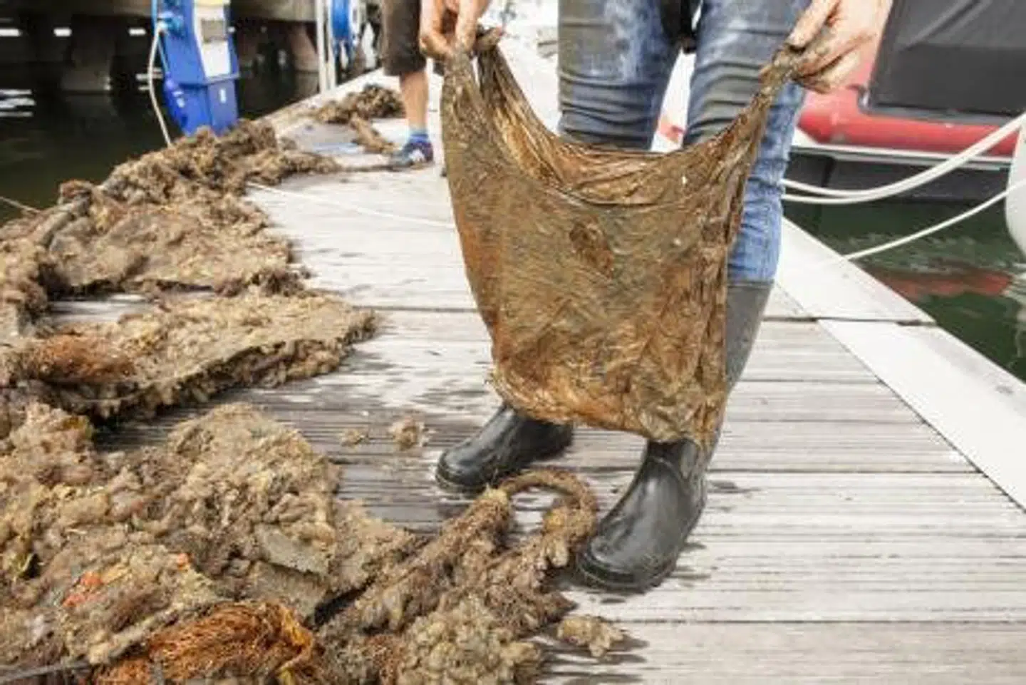Forskerne hev med jævnlige mellemrum poserne op fra dybet for at tjekke, hvordan nedbrydningen skred frem. Lloyd Russell, University of Plymouth/