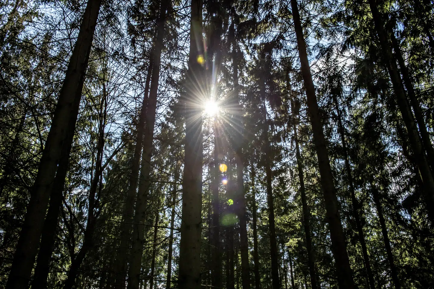Danskerne har nydt solen i hele 274 timer i april måned. Henning Bagger/Ritzau Scanpix