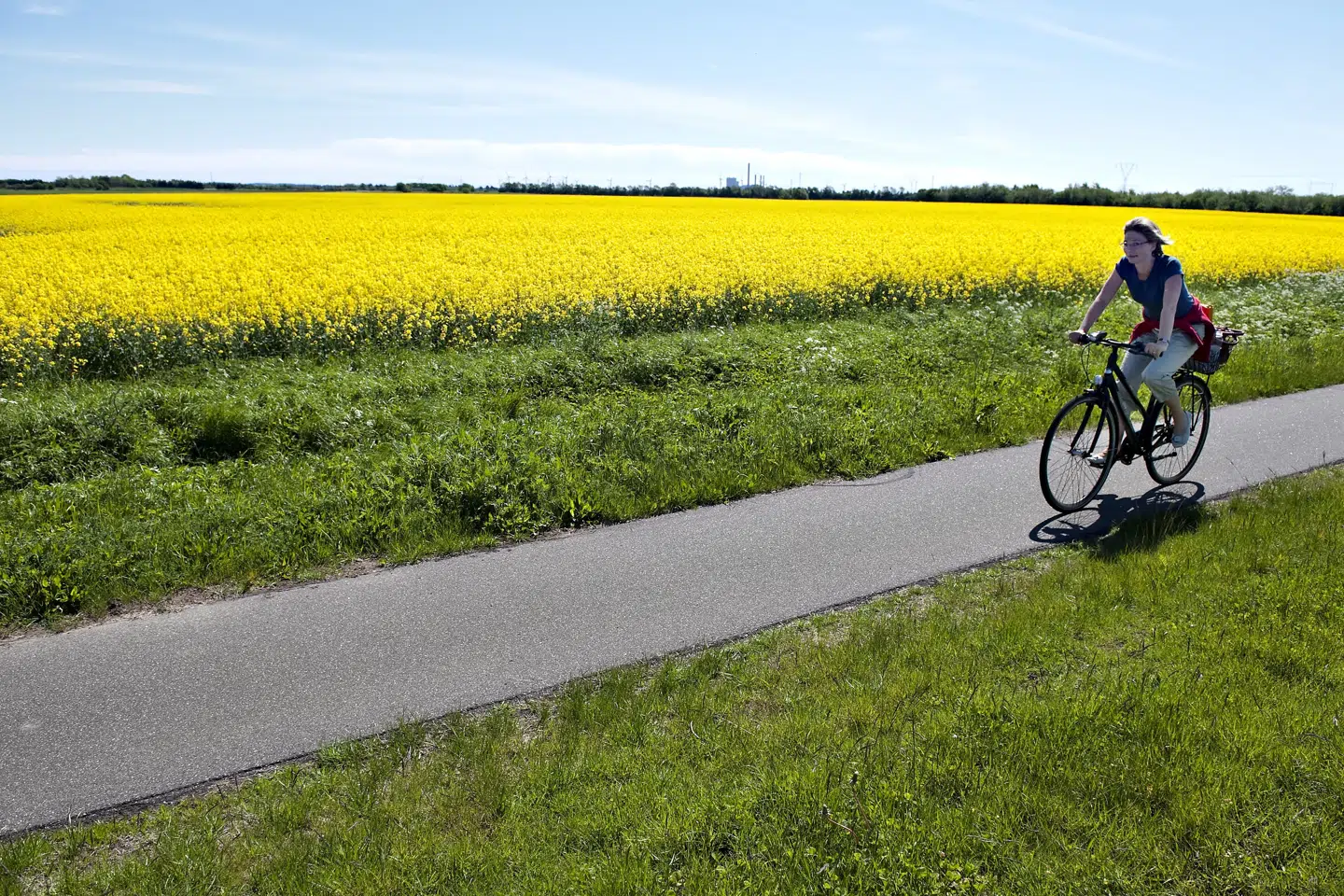 Danmark skal levere en grundig redegørelse af dansk naturs tilstand til EU hvert sjette år. Den bliver ikke klar til første deadline, der er 30. april. (Arkivfoto). Henning Bagger/Ritzau Scanpix