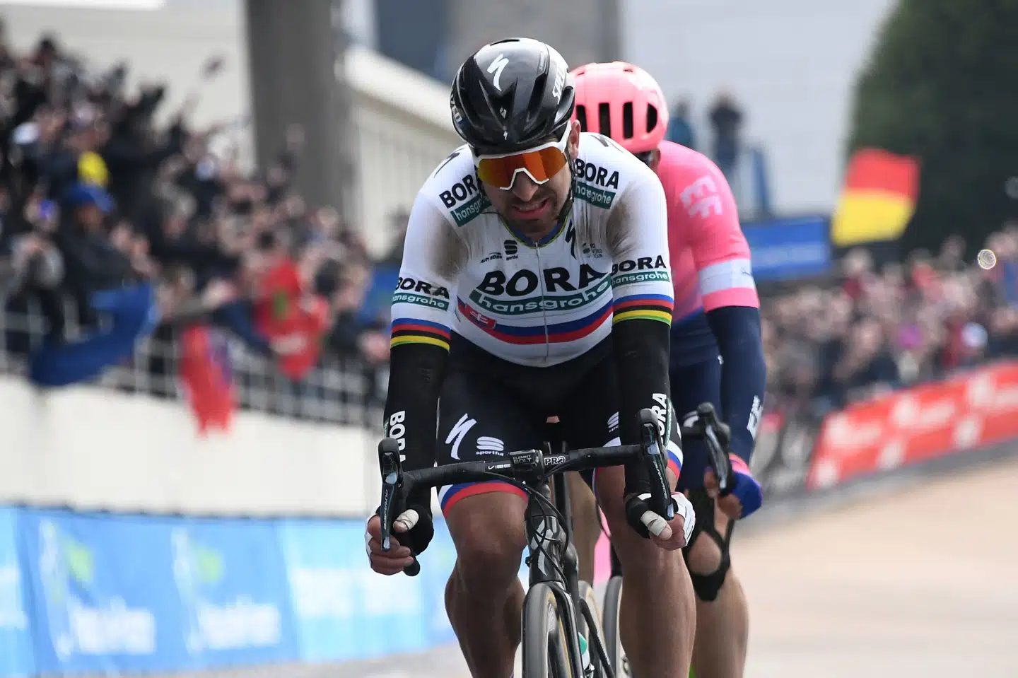 Peter Sagan vil ikke være at finde ved startstregen, når Liège-Bastogne-Liège køres søndag. Anne-Christine Poujoulat/Ritzau Scanpix