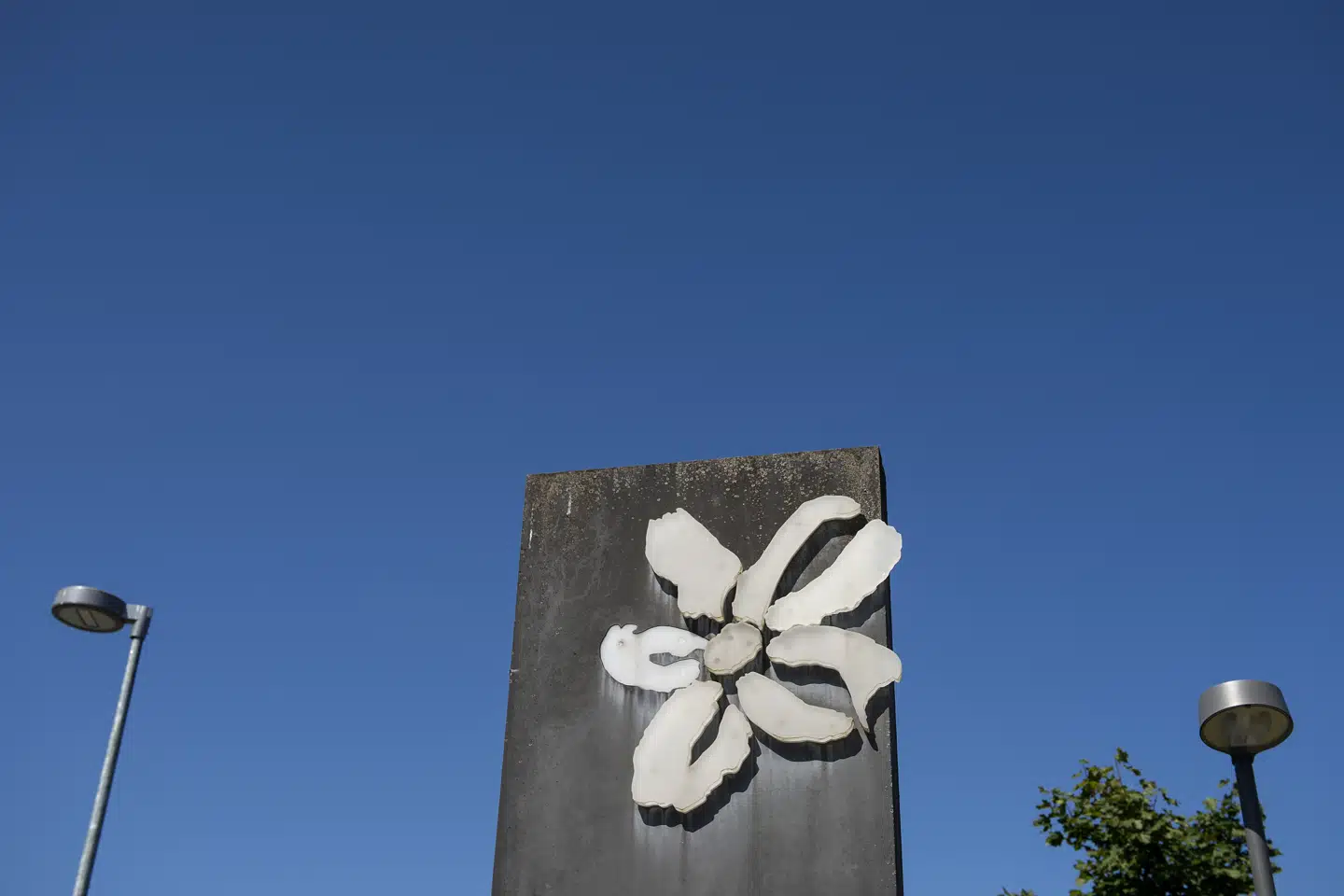 Samlet tjente selskabet 439 millioner kroner mod et plus på 267 millioner kroner i samme periode året før.(Arkivfoto) Liselotte Sabroe/Ritzau Scanpix