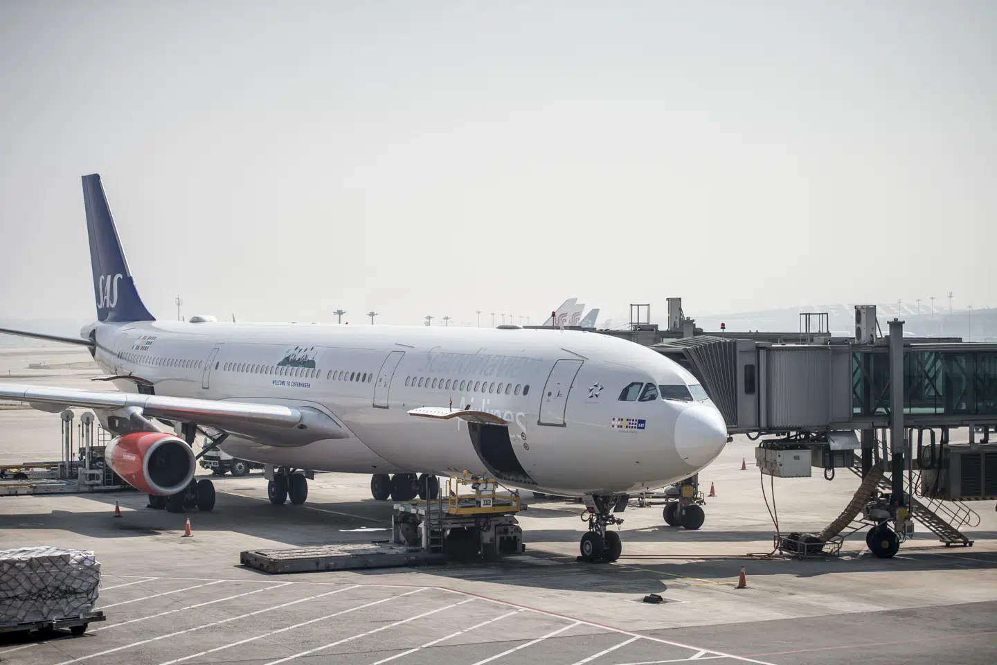 SAS-fly, der står parkeret på asfalten i Københavns Lufthavn i Kastrup, kan blive SAS-ledelsens skrækscenarie. Ifølge Jacob Pedersen, der er aktieanalysechef hos Sydbank, kan det koste SAS chancen for at give overskud i år, hvis det trækker ud i to uger. (arkivfoto) Mads Claus Rasmussen/Ritzau Scanpix