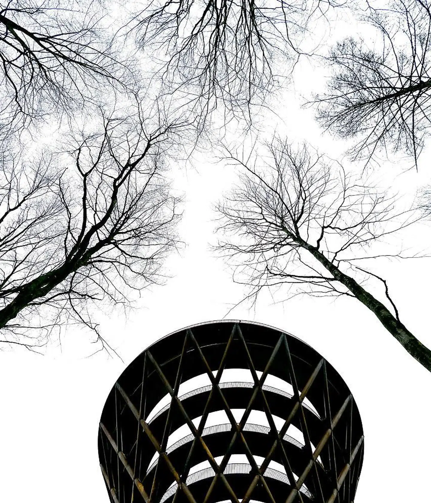 Træerne omkring tårnet er cirka 25 meter høje. Du er altså hævet over hele skoven, når du er halvvejs op i det.