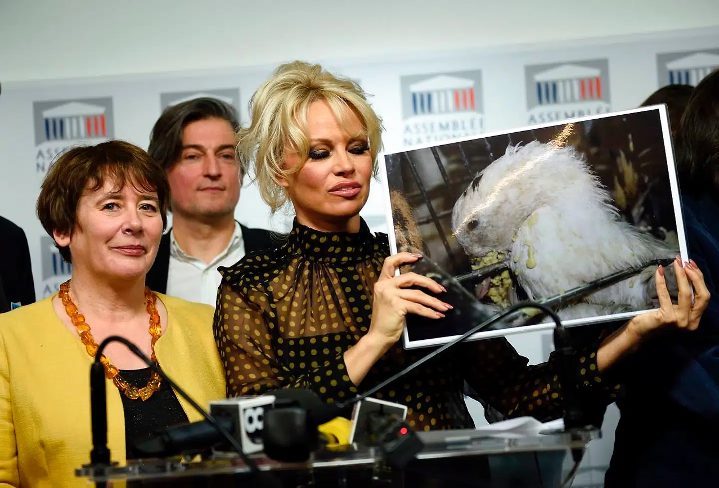 Pamela Anderson i det franske parlament, hvor hun argumenterer mod tvangsfodring af gæs, som benyttes for at få den franske delikatesse foie gras.