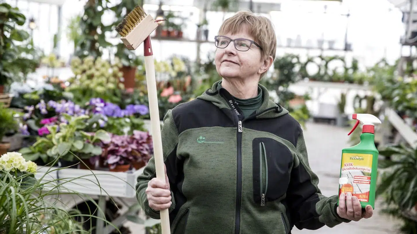 Lissi Bjerregaard fra Nybo Planteskole i Humlebæk ses her med et værktøj til at fjerne ukrudt mellem fliser og et mere miljø-rigtigt sprøjtemiddel såkaldt pelargonsyre.