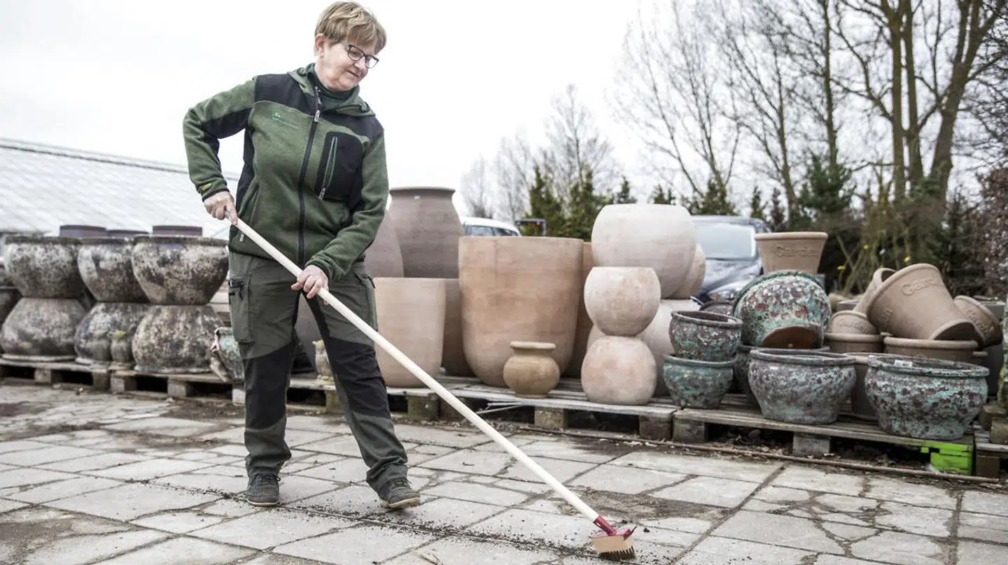 Lissi Bjerregaard fra Nybo Planteskole i Humlebæk viser her, hvordan man kan fjerne ukrudt uden at bruge Roundup. Det er mere fysisk krævende at bruge værktøj til at fjerne ukrudt med, men til gengæld får man så også gratis motion.