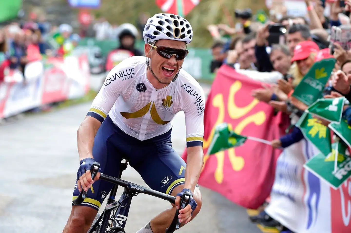 Stefan Denifl vandt i 2017 en etape i Vuelta a Espana.
