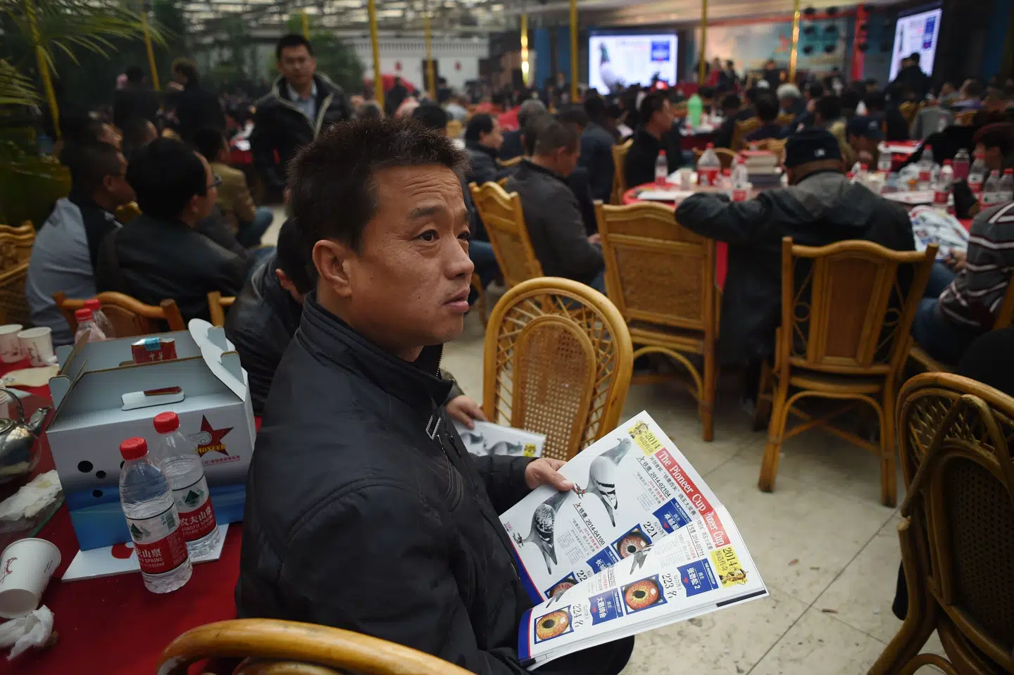 Brevdueavlere høster en del penge på en stærk interesse for brevduesport i Kina. En belgisk brevdue ved navn Armando blev i denne uge solgt ved en auktion for knap ti millioner kroner - mere end det tredobbelte af den hidtidige rekordpris for en brevdue. Wang Zhao/Ritzau Scanpix