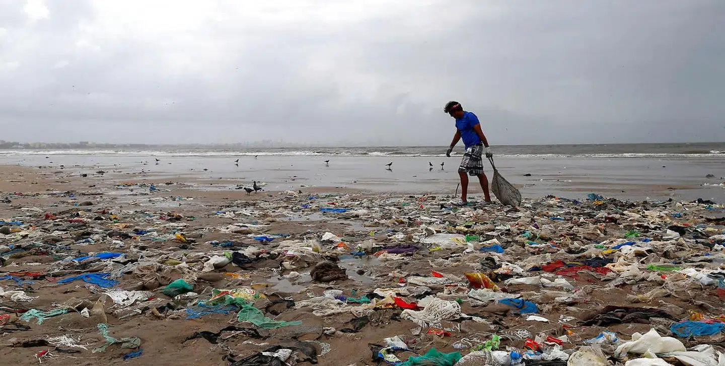 En frivillig samler affald på stranden i Mumbai, Indien. August 2016. REUTERS.