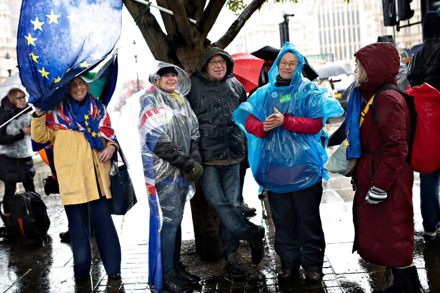 Et pludseligt regnskyl fik de indtil videre få fremmødte demonstranter til at dække sig til. London torsdag den 14. marts 2019.