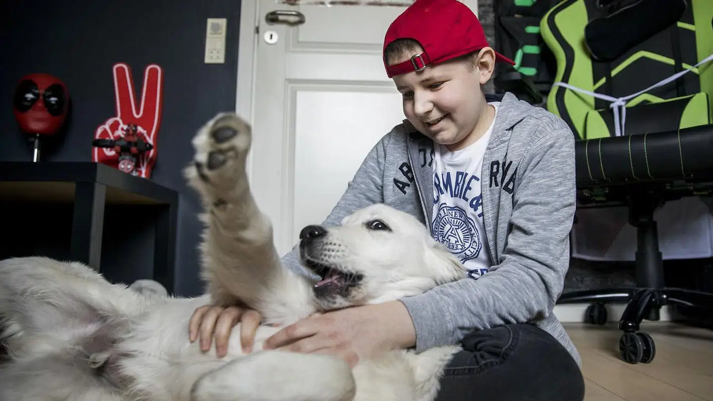 Mikkel leger med sin nye hund Buddy. Den er fem mdr. gammel og meget legesyg.