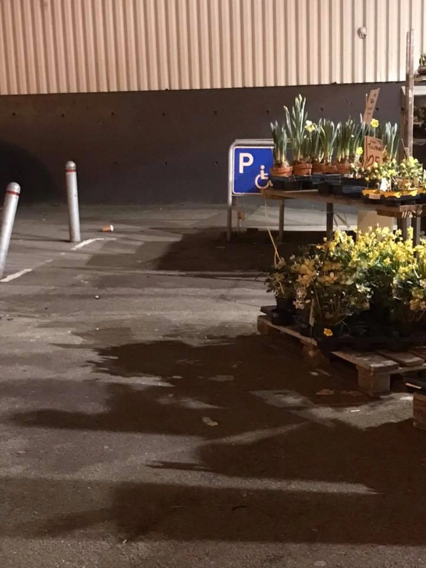 Parkeringspladsen ved Meny Bagsværd, hvor handicapparkeringen var spærret af blomstervogne.
