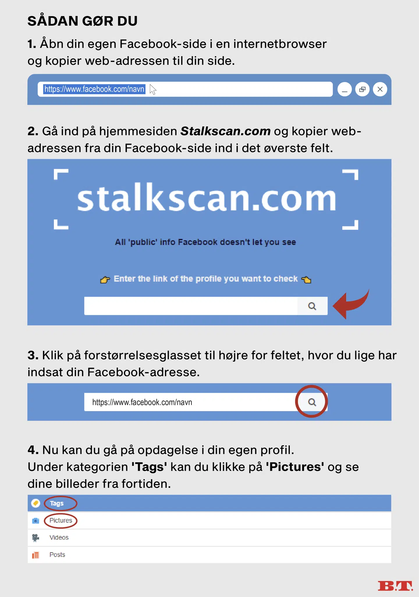 Grafik: Michelle Falk Hansen