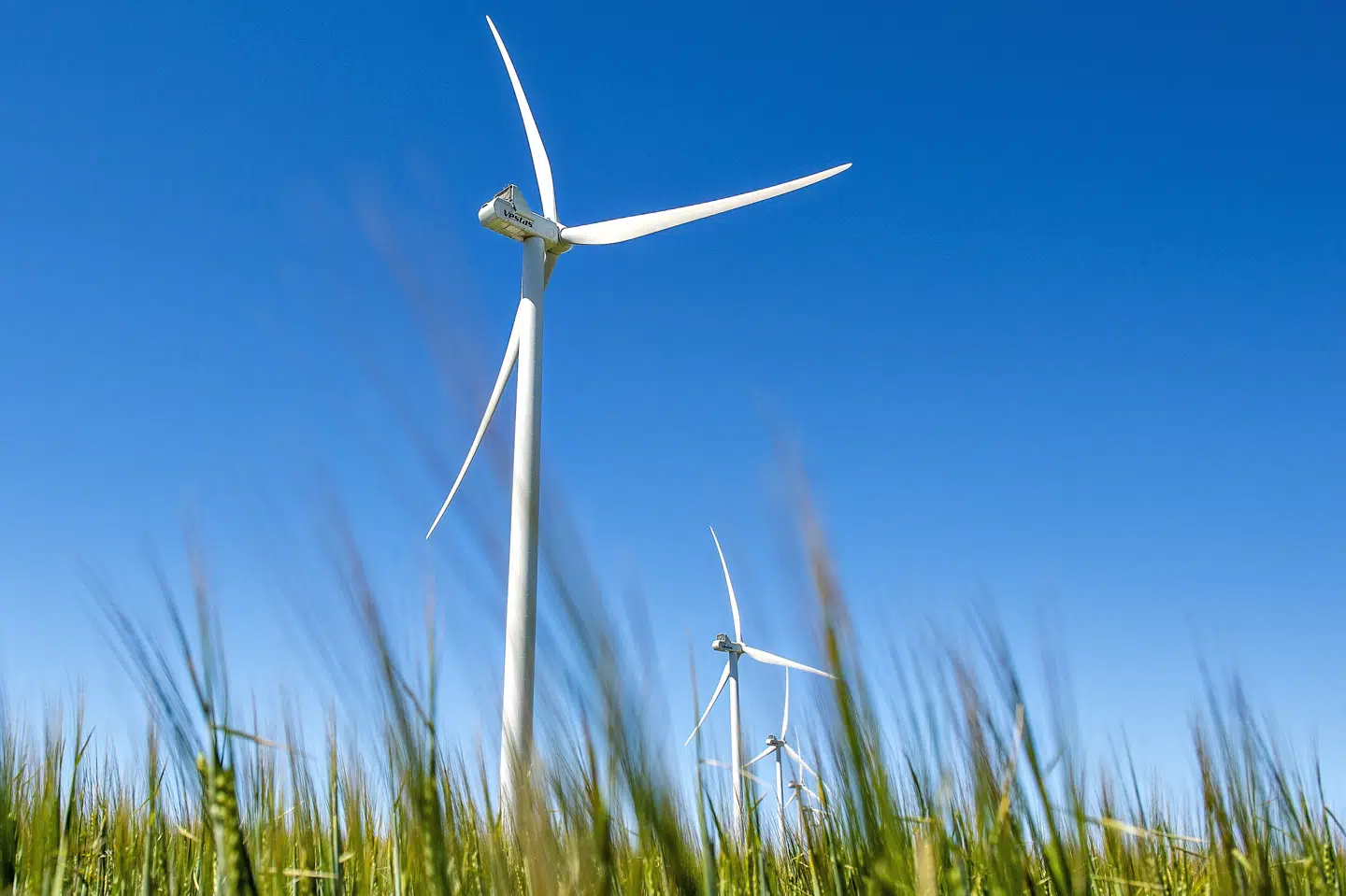 Da Verdensnaturfonden i 2018 undersøgte og rangerede de største pensionsselskaber for deres klimaindsats, blev de to topscorere PKA og PFA. (Arkivfoto) Henning Bagger/Ritzau Scanpix