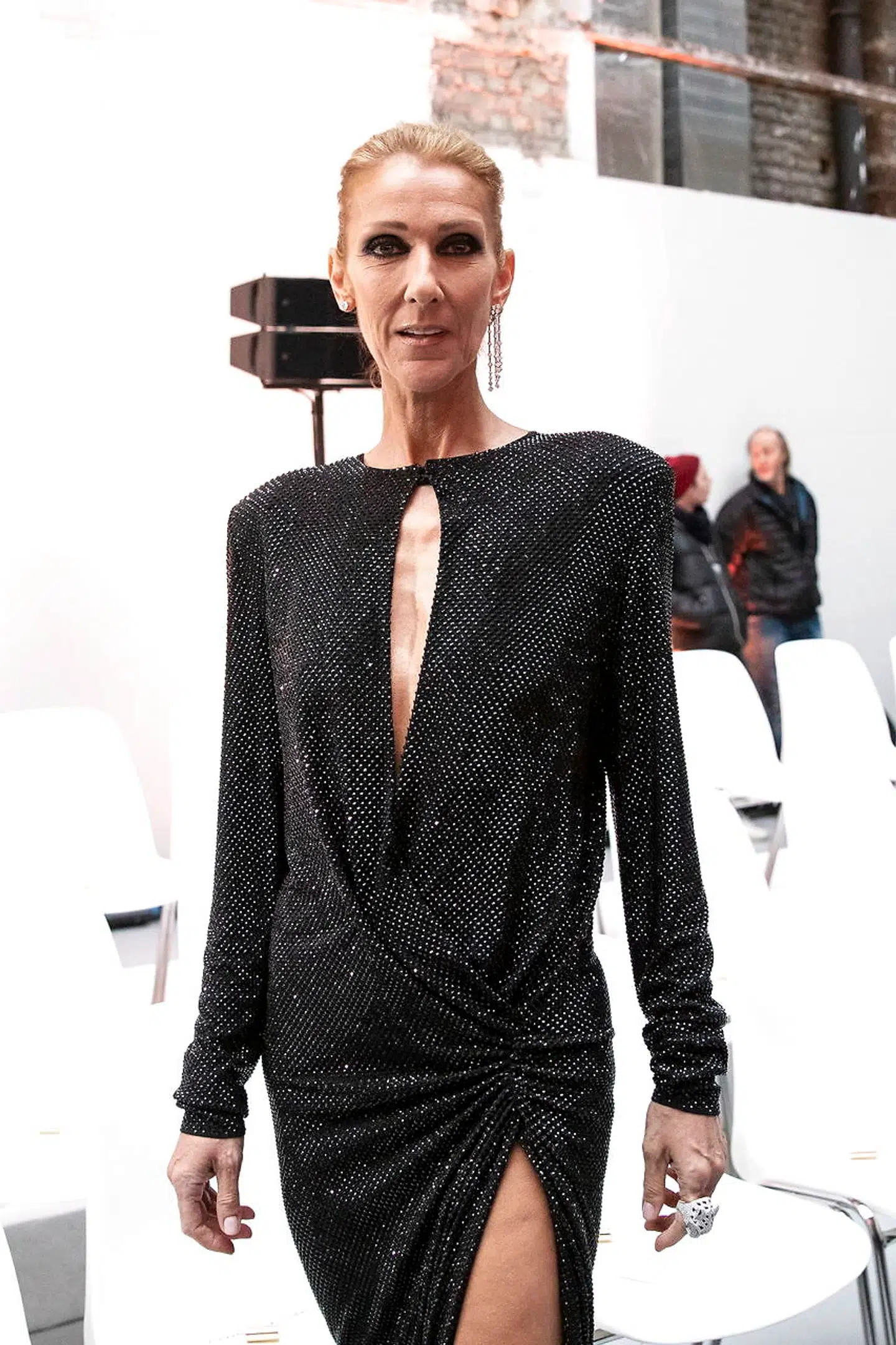 Celine Dions nye look.