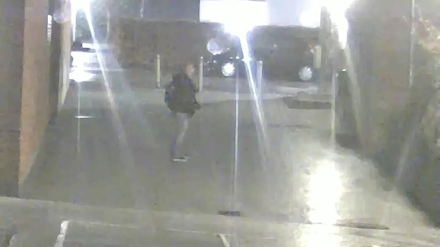 Politiet efterlyser denne mand efter flere episoder med blufærdighedskrænkelse.