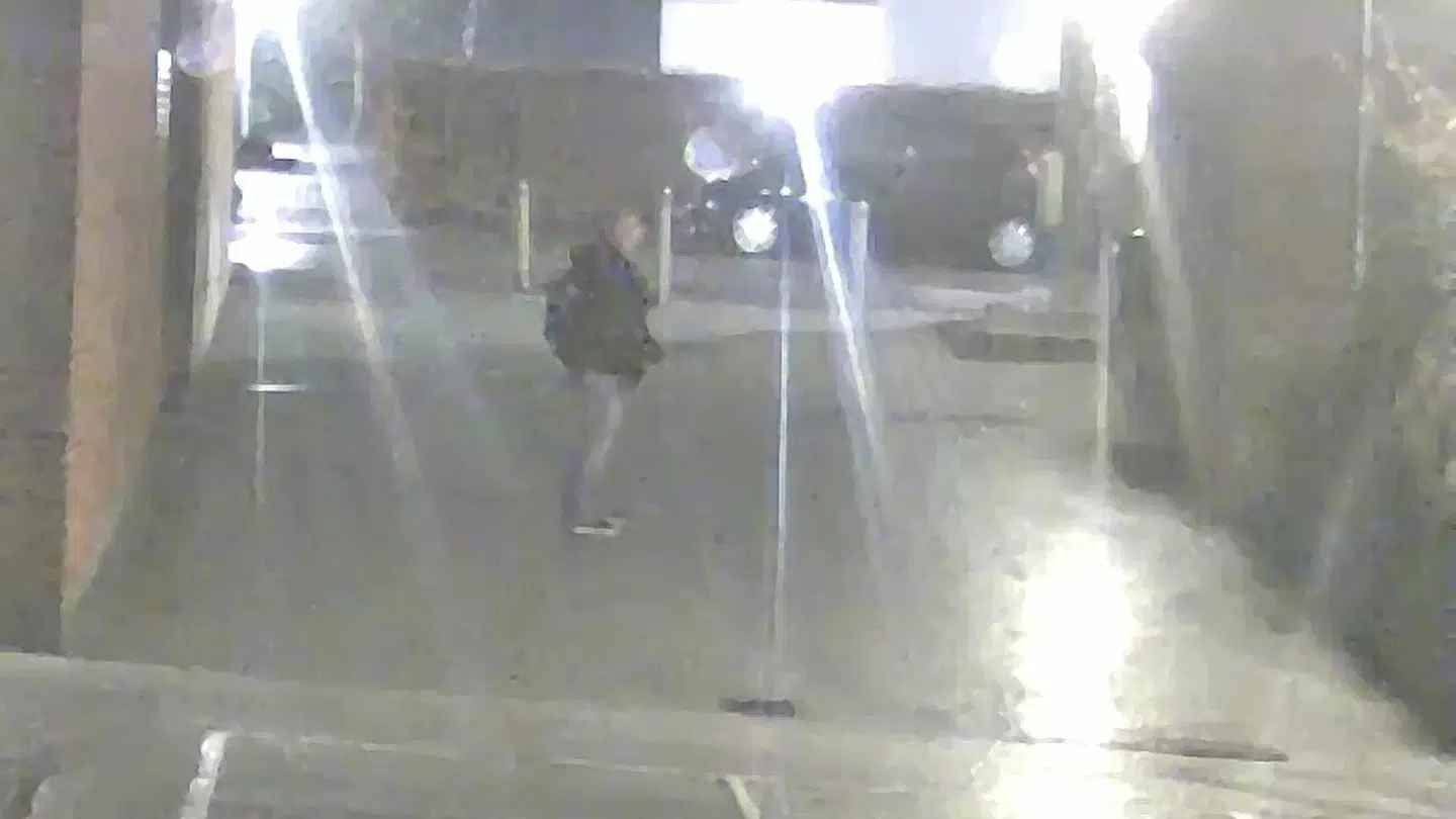 Politiet efterlyser denne mand efter flere episoder med blufærdighedskrænkelse.