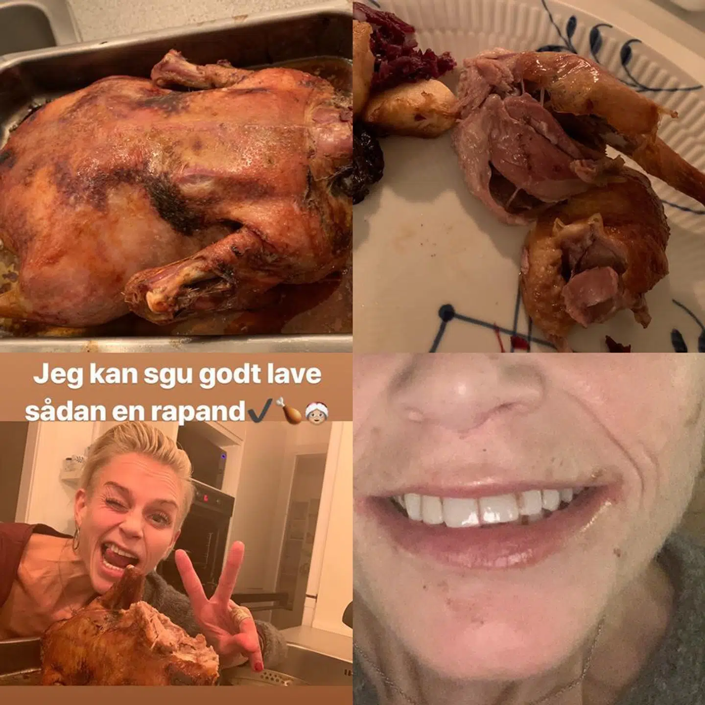 Det billede, som Signe Grønnebæk var nødt til at tage. Det er første gang nogensinde, at der har været en and i hendes køkken. Foto fra bloggen Anoreksigne.dk