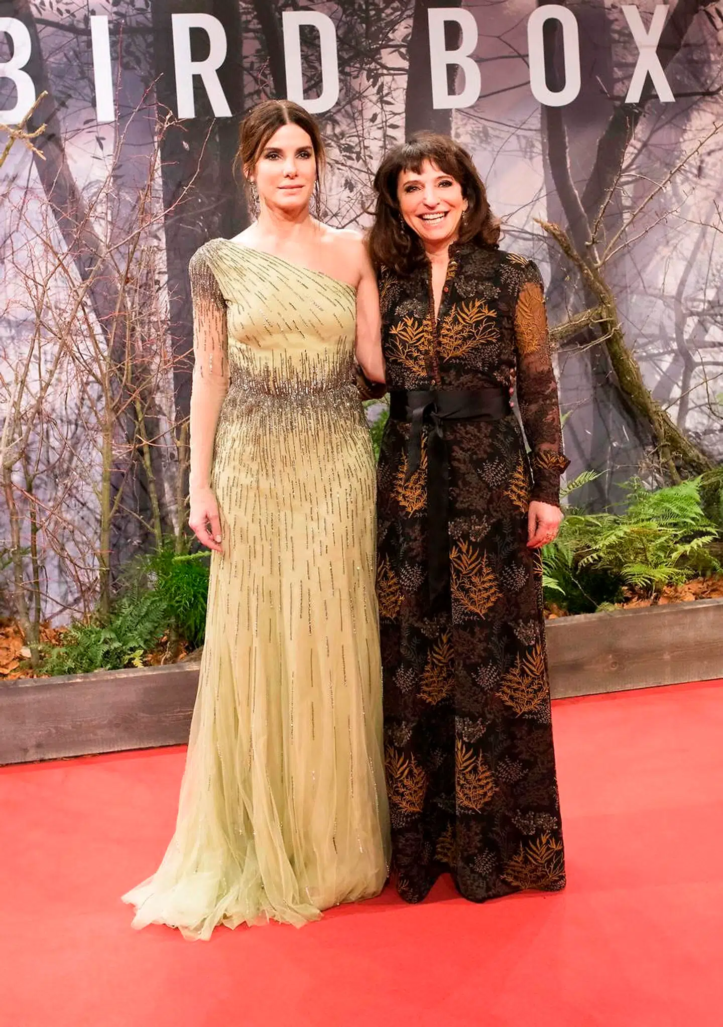 Ifølge Netflix har Susanne Biers nye film Bird Box slået rekord.