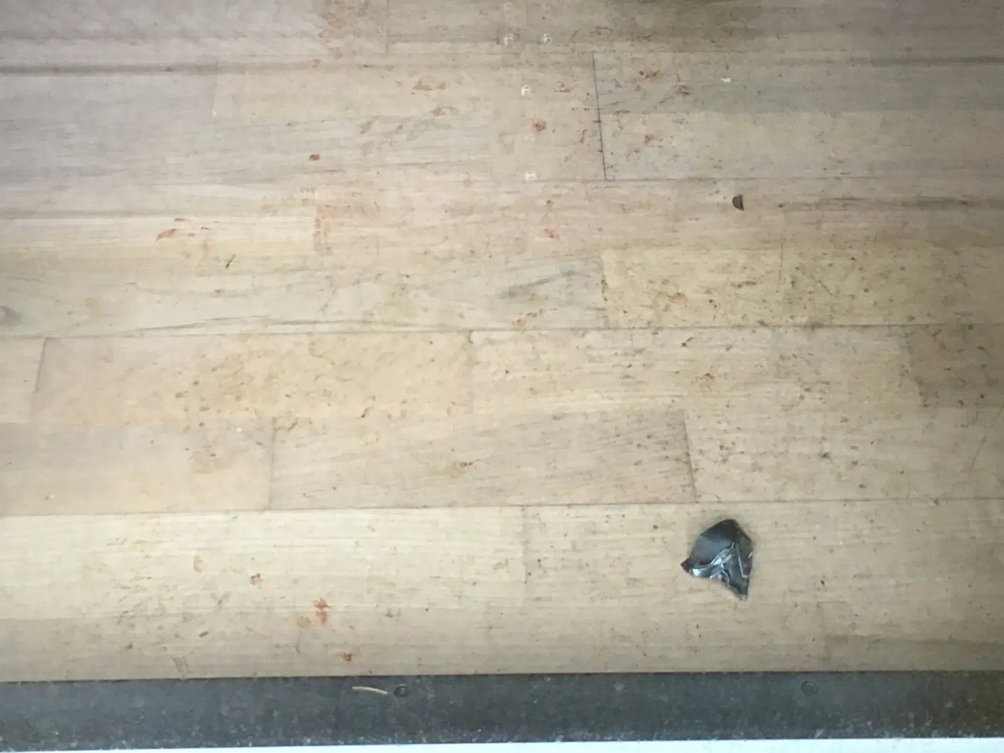 Der er tydelige spor af blod i entreen