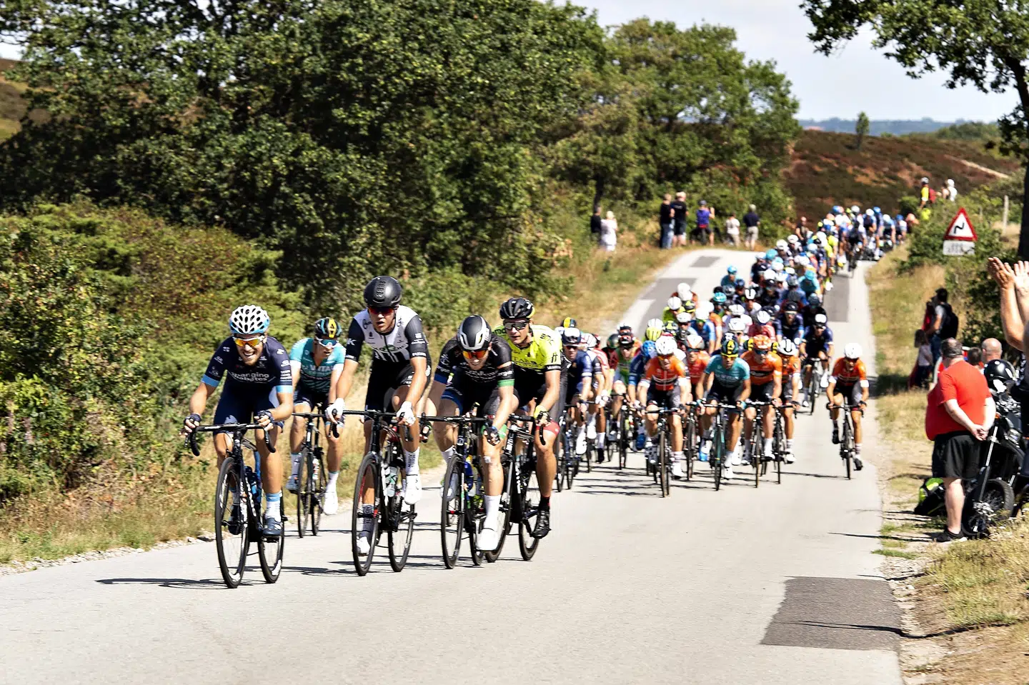 Når PostNord Danmark Rundt køres i 2019, er det 29. gang, at det danske cykelløb bliver afholdt. (Arkivfoto). Henning Bagger/Ritzau Scanpix