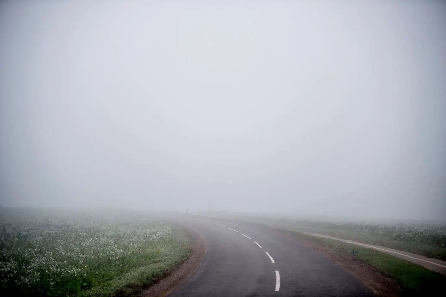 Tæt morgen tåge nær Lejre ved Roskilde, onsdag den 17. oktober 2018.
