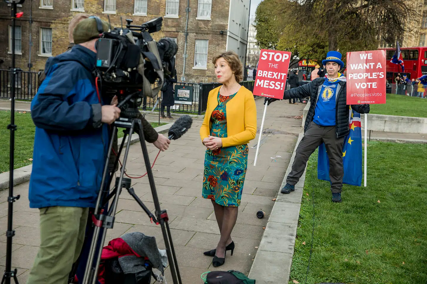 Brexit demonstrant foran parlamentet i London.