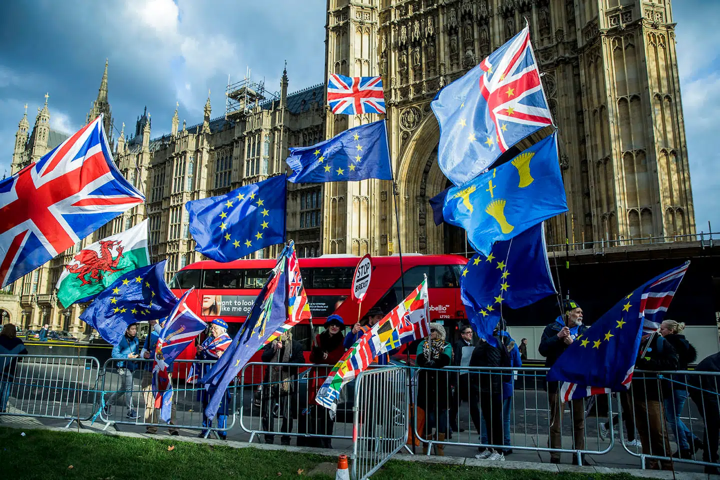 Brexit demonstranter foran parlamentet i London.