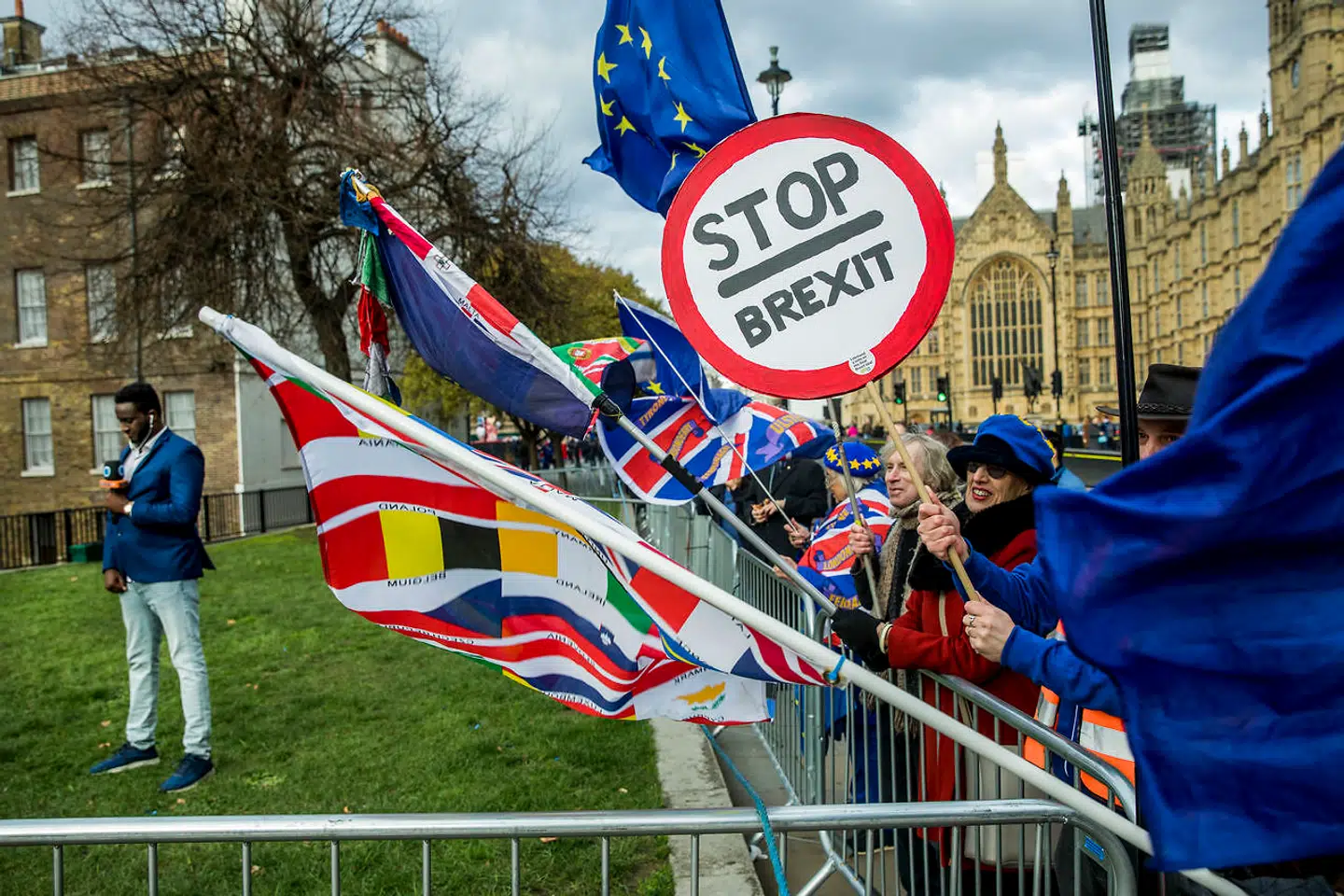 Brexit demonstranter uden for parlamentet i London.