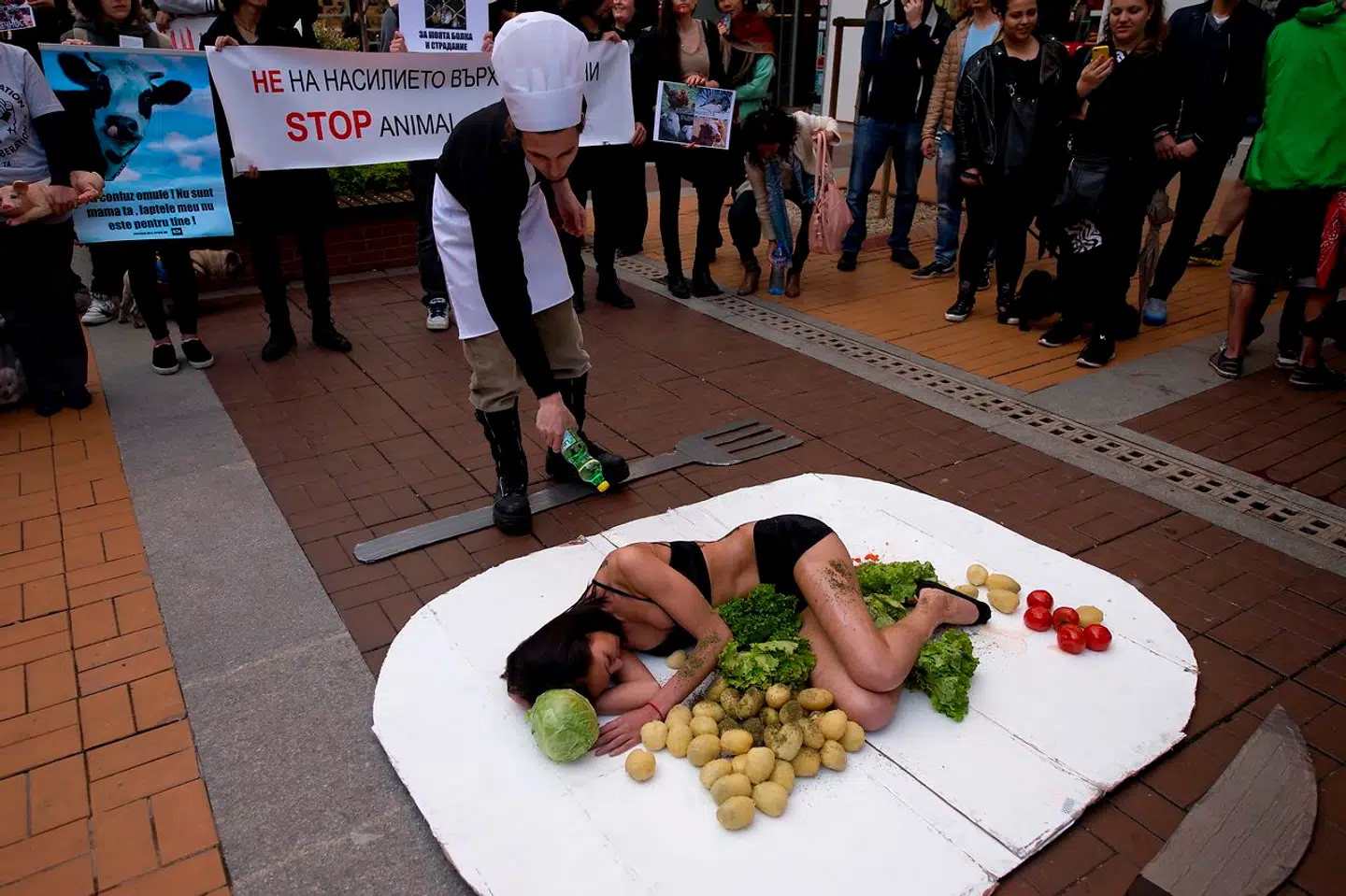 Protesters stage a demonstration advocating animals rights during a protest "The meat is murder" in Bulgarian capital Sofia on May 8, 2016. . NIKOLAY DOYCHINOV / AFP