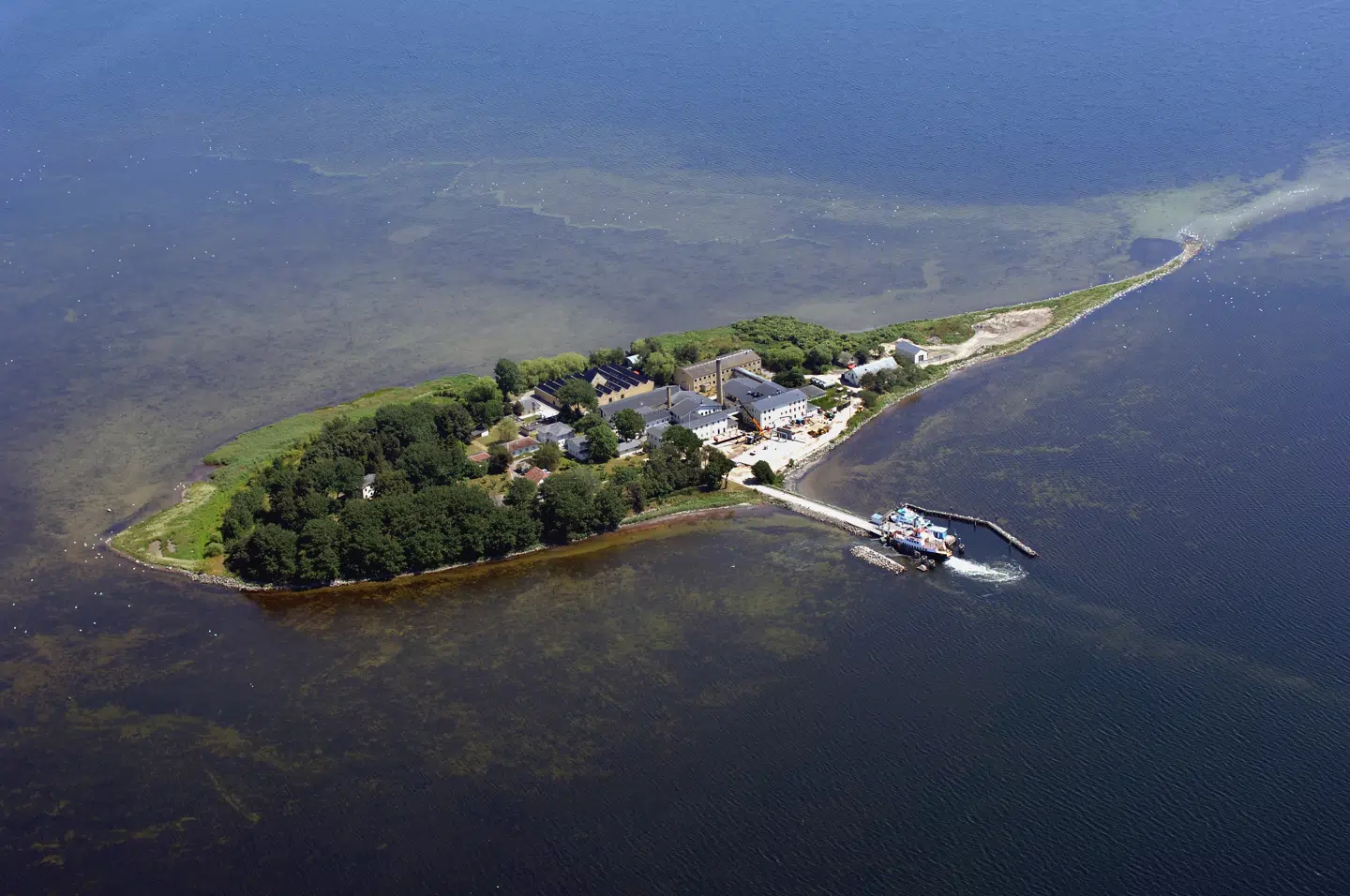 Øen Lindholm i Stege Bugt.