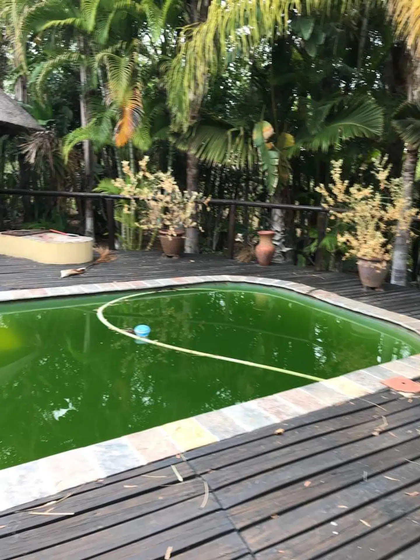 Poolen ved Britta Nielsens hus. Foto: B.T.