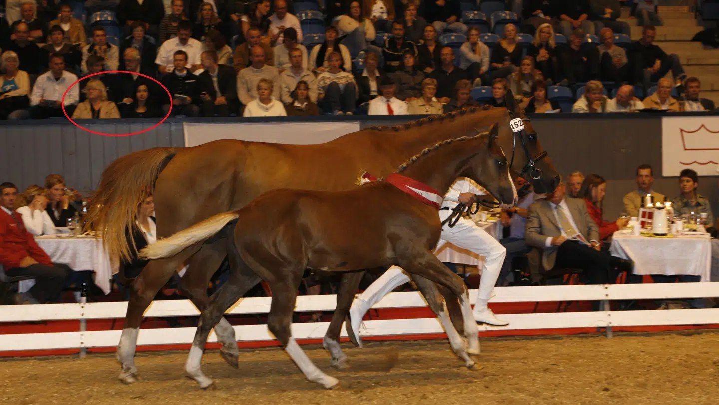 I forgrunden ses springføllet Minnie The Moocher. I baggrunden sidder Britta Nielsen og Samina Hayat, som køber føllet for 175.000 kr. i 2007. Foto: Wiegaarden